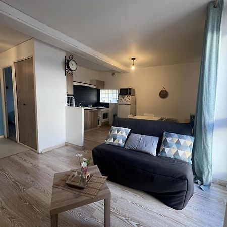 Appartement Entier 38M2 T2 Hyper Centre De Dax Kültér fotó